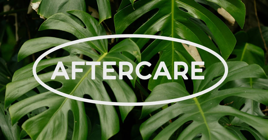 What to Do After a Wax - A Guide to Waxing Aftercare